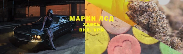 ГАЛЛЮЦИНОГЕННЫЕ ГРИБЫ Абинск