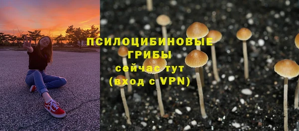 ГАЛЛЮЦИНОГЕННЫЕ ГРИБЫ Абинск