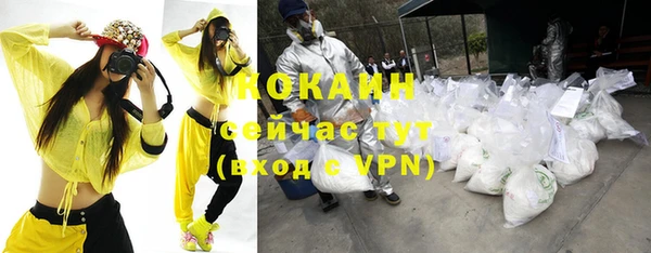 гашик Остров
