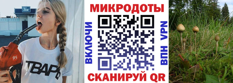 Псилоцибиновые грибы мицелий  Жердевка 